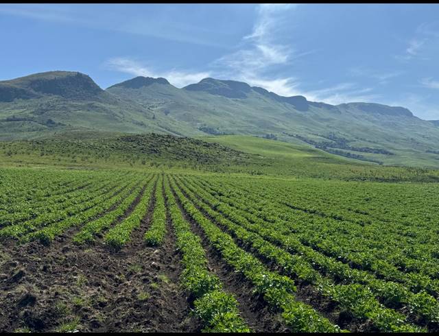 830HA FARM FOR SALE IN DARGLE